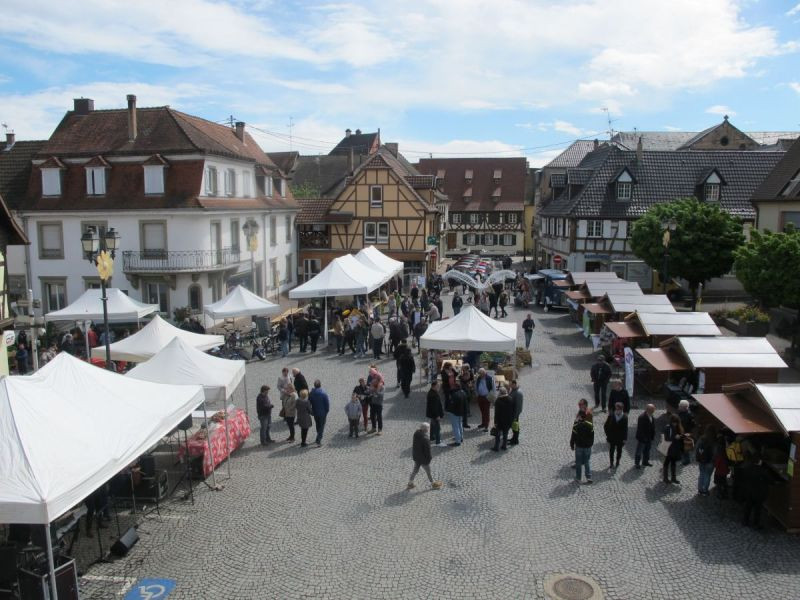 Entreprise de toiture à Erstein