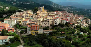 Description et caractère des toitures de Vence