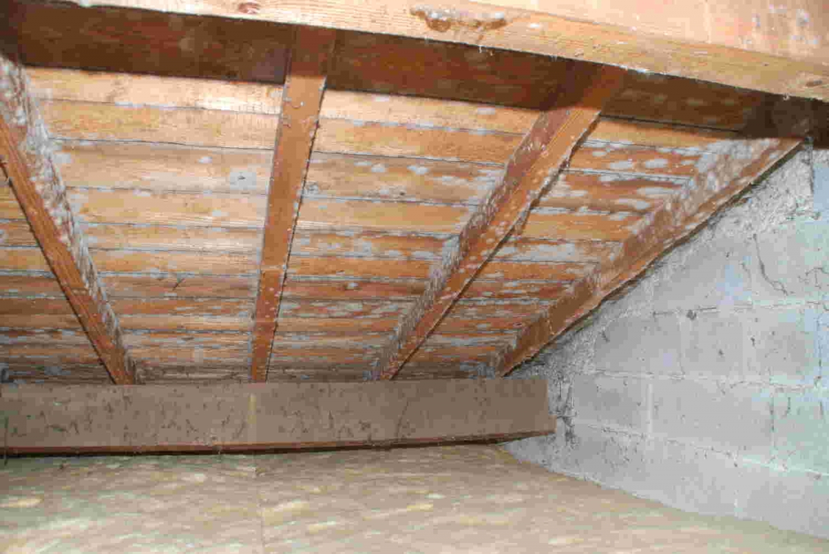 condensation-dans-comble.jpg Image guide